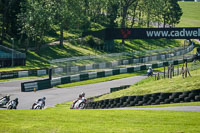 cadwell-no-limits-trackday;cadwell-park;cadwell-park-photographs;cadwell-trackday-photographs;enduro-digital-images;event-digital-images;eventdigitalimages;no-limits-trackdays;peter-wileman-photography;racing-digital-images;trackday-digital-images;trackday-photos